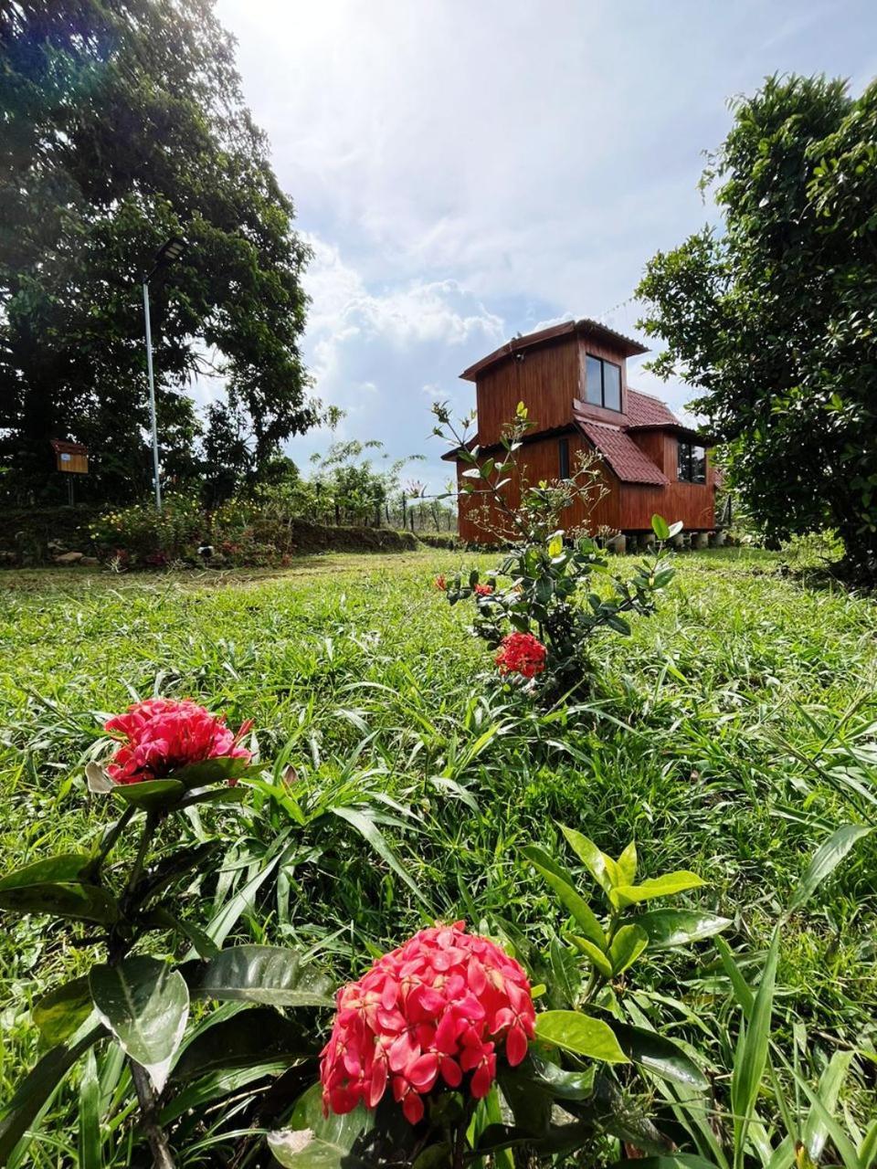Myra Chalets Bujagua Buitenkant foto